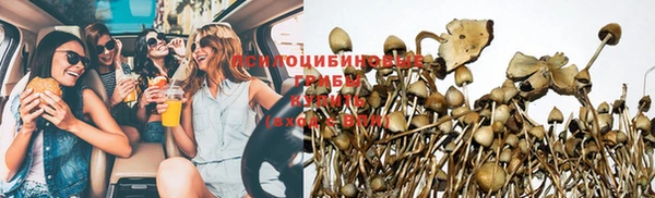 каннабис Абаза