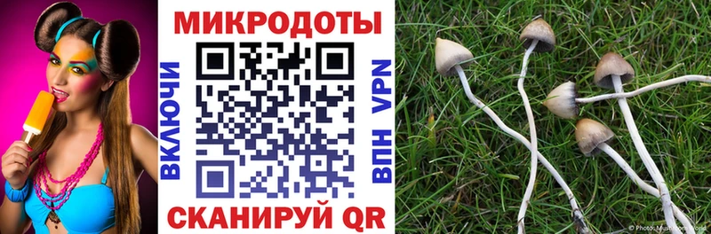 Псилоцибиновые грибы Cubensis  сколько стоит  гидра как зайти  Тюмень 