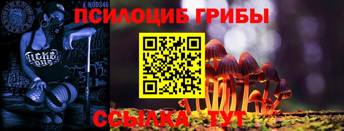 Галлюциногенные грибы GOLDEN TEACHER  Галлюциногенные грибы Magic Shrooms  Вход с VPN  Тюмень 
