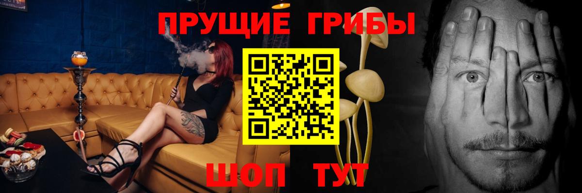Галлюциногенные грибы прущие грибы Тюмень